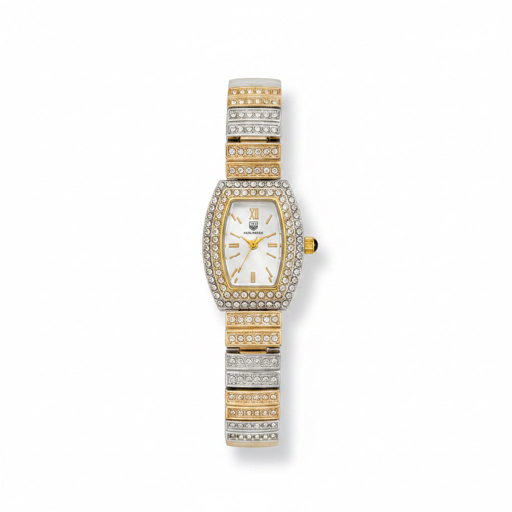 ✨ Zirconium Studded SilverXGold True Worth Watch ✨