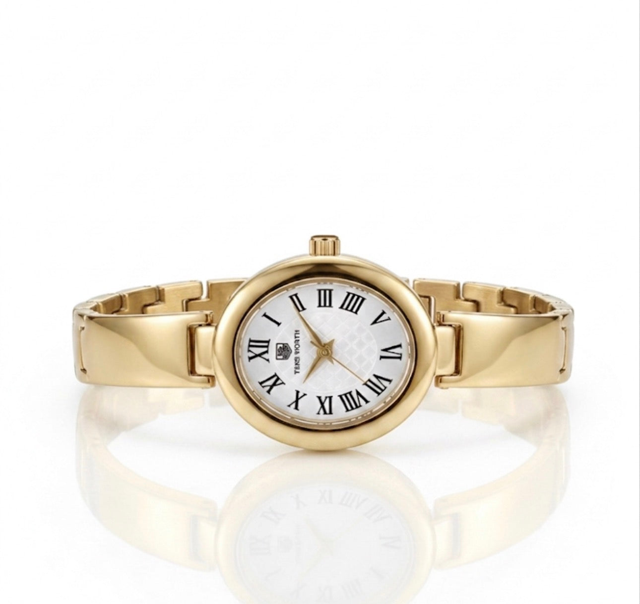 ✨Stainless steel True Worth Classic Oval dial Watch ✨