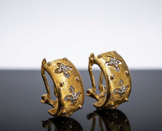 ✨Exquisite golden Crystal hoop Earrings ✨