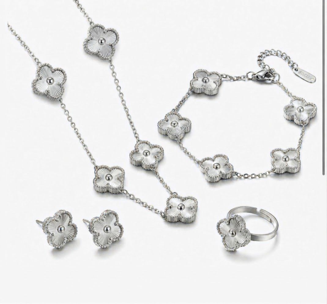 ✨Exclusive Silver Clovie Complete Set✨